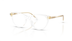 Rame de ochelari Dolce&Gabbana DX3002 3133