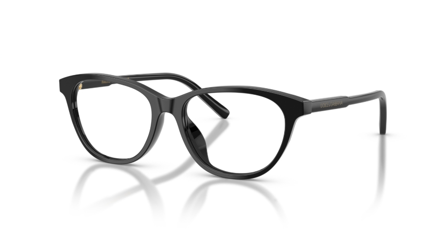 Rame de ochelari Dolce&Gabbana DX3002 501