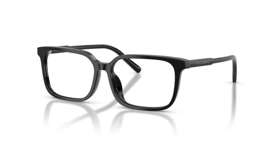 Rame de ochelari Dolce&Gabbana DX3003 501