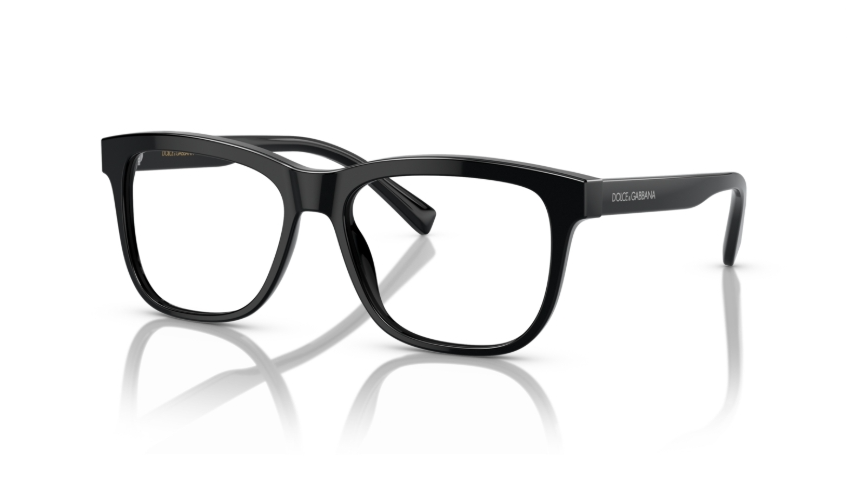 Rame de ochelari Dolce&Gabbana DX3356 501