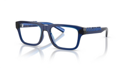 Rame de ochelari Dolce&Gabbana DX5008 3009
