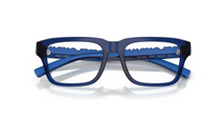 Rame de ochelari Dolce&Gabbana DX5008 3009