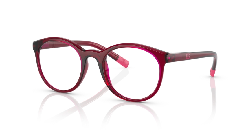 Rame de ochelari Dolce&Gabbana DX5095 1551 46