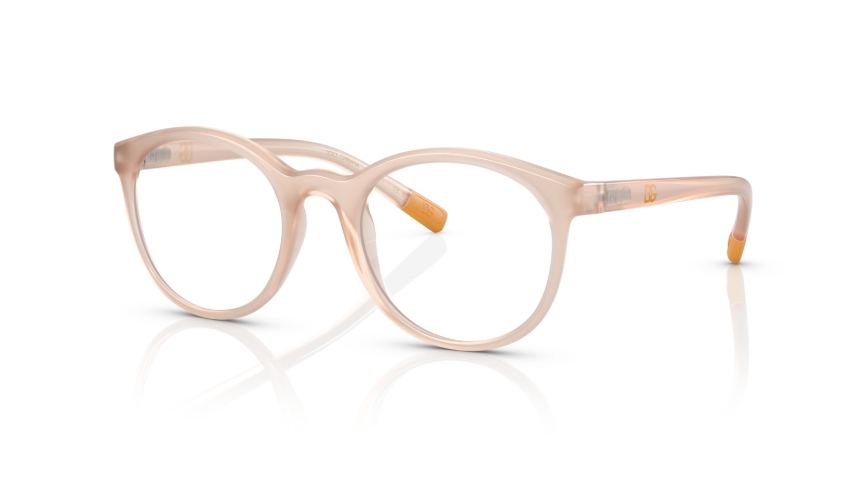 Rame de ochelari Dolce&Gabbana DX5095 3041