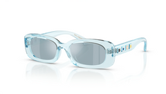 Ochelari de soare Dolce&Gabbana DX6006U 33466J