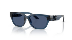 Ochelari de soare Dolce&Gabbana DX6009 300980