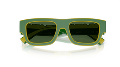 Ochelari de soare Dolce&Gabbana DX6011 346771