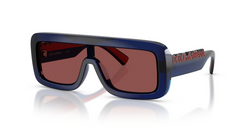 Ochelari de soare Dolce&Gabbana DX6013 300975