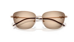 Ochelari de soare Emporio Armani EA2170 301113