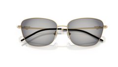 Ochelari de soare Emporio Armani EA2170 30138G
