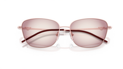 Ochelari de soare Emporio Armani EA2170 34268H