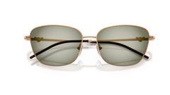 Ochelari de soare Emporio Armani EA2170 342713