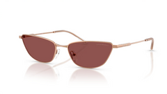 Ochelari de soare Emporio Armani EA2174B 301175