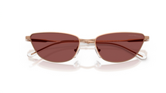 Ochelari de soare Emporio Armani EA2174B 301175