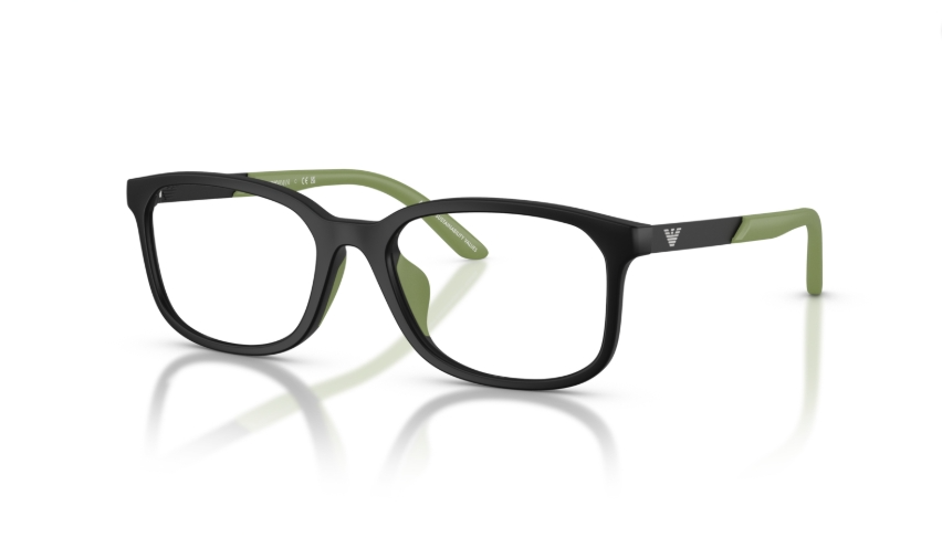 Rame de ochelari Emporio Armani EK3008U 5001