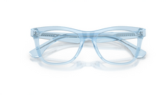 Rame de ochelari Burberry JB2012 4215
