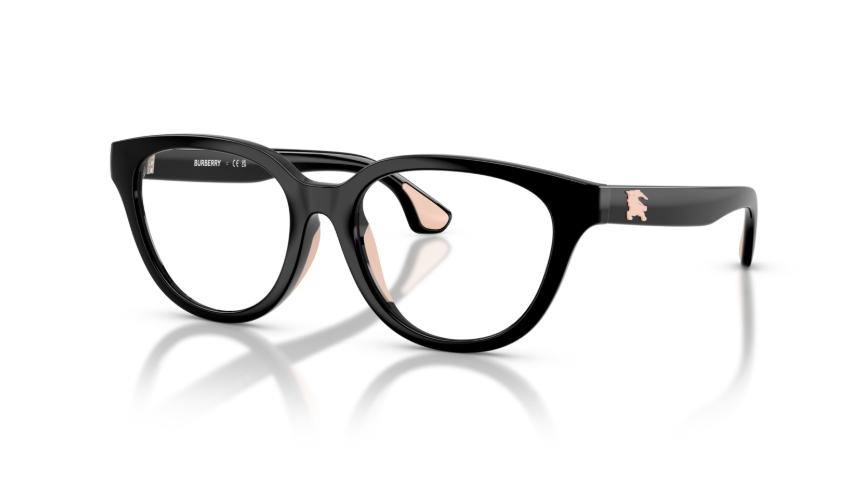 Rame ochelari Burberry JB2013U 3001
