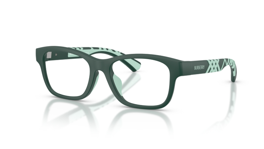 Rame de ochelari Burberry JB2018U 4239