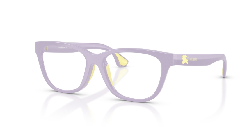 Rame de ochelari Burberry JB2020U 4228
