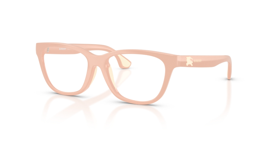 Rame de ochelari Burberry JB2020U 4229
