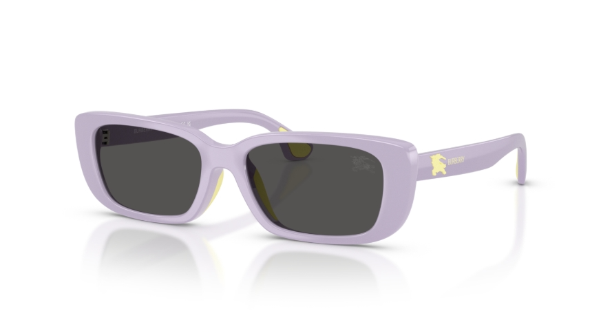 Ochelari de soare Burberry JB4006U 422887