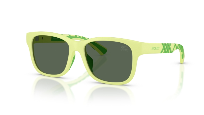 Ochelari de soare Burberry JB4007U 423771