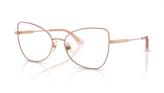 Rame de ochelari Jimmy Choo JC2006 3020