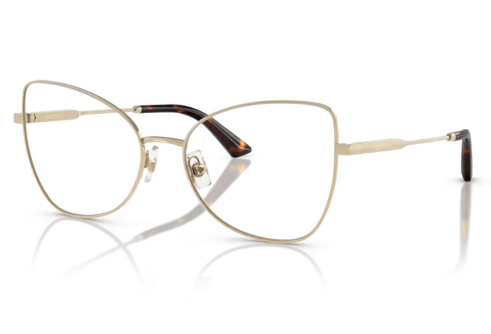 Rame de ochelari Jimmy Choo JC2006 3006