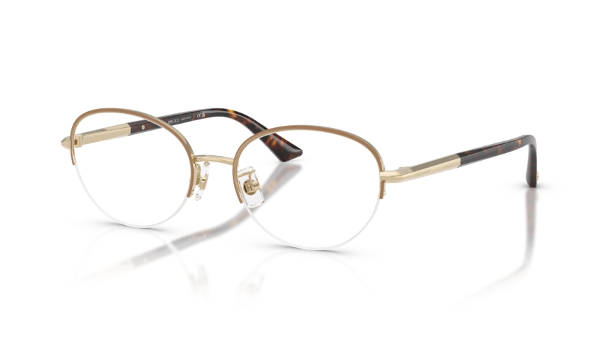 Rame de ochelari Jimmy Choo JC2014D 3019