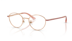 Rame de ochelari Jimmy Choo JC2018JD 3008