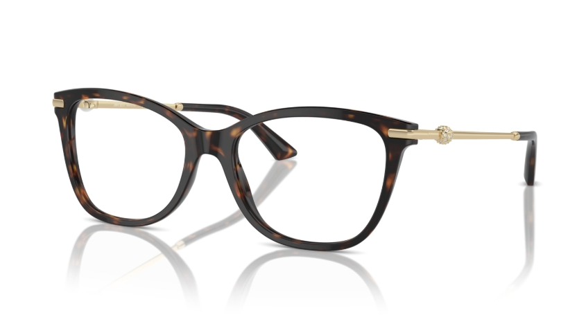 Rame de ochelari Jimmy Choo JC3007HB 5002
