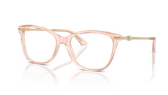 Rame de ochelari Jimmy Choo JC3007HB 5034