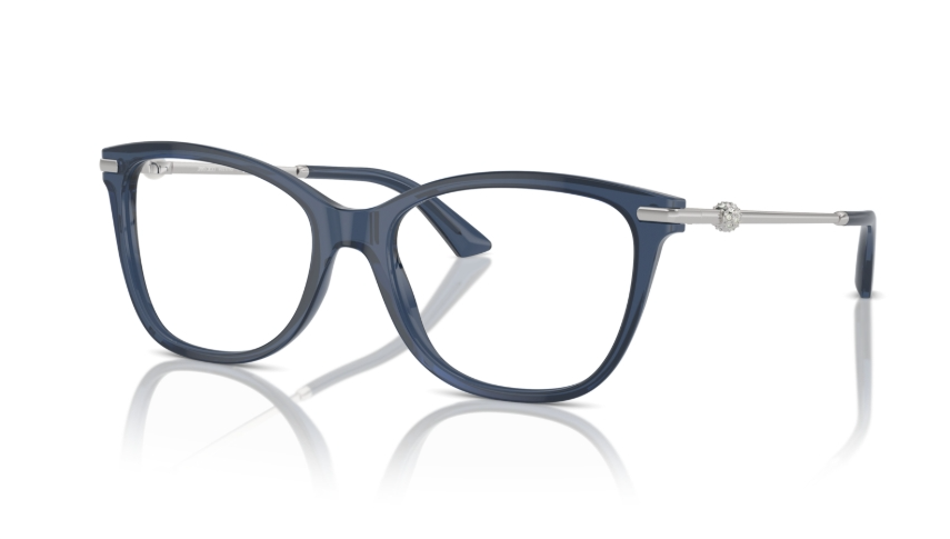 Rame de ochelari Jimmy Choo JC3007HB 5035