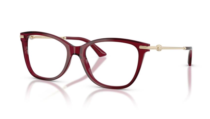 Rame de ochelari Jimmy Choo JC3007HB 5062