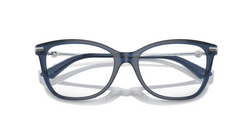 Rame de ochelari Jimmy Choo JC3007HB 5035