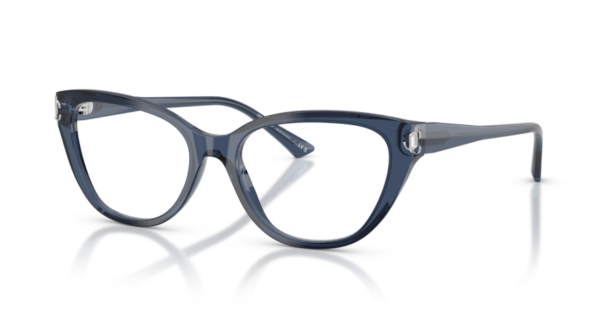 Rame de ochelari Jimmy Choo JC3011 5035