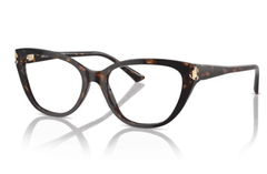 Rame de ochelari Jimmy Choo JC3011 5002