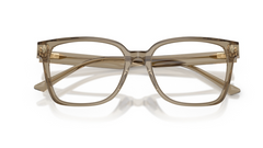 Rame de ochelari Jimmy Choo JC3038D 5051