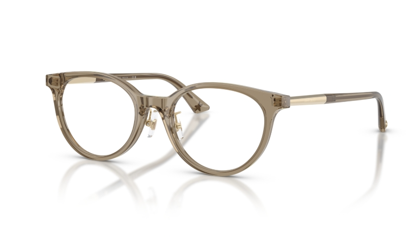 Rame de ochelari Jimmy Choo JC3039D 5051