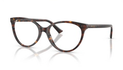 Rame de ochelari Jimmy Choo JC3047 5002
