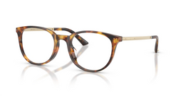 Rame de ochelari Jimmy Choo JC3055D 5110