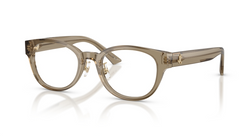 Rame de ochelari Jimmy Choo JC3058D 5051