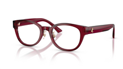 Rame de ochelari Jimmy Choo JC3058D 5062