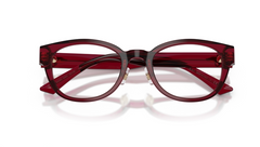 Rame de ochelari Jimmy Choo JC3058D 5062