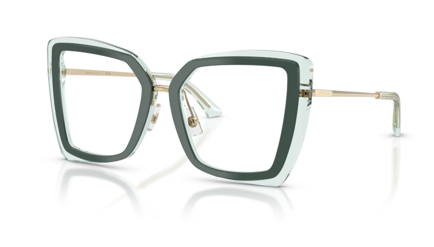 Rame de ochelari Jimmy Choo JC3059 5104