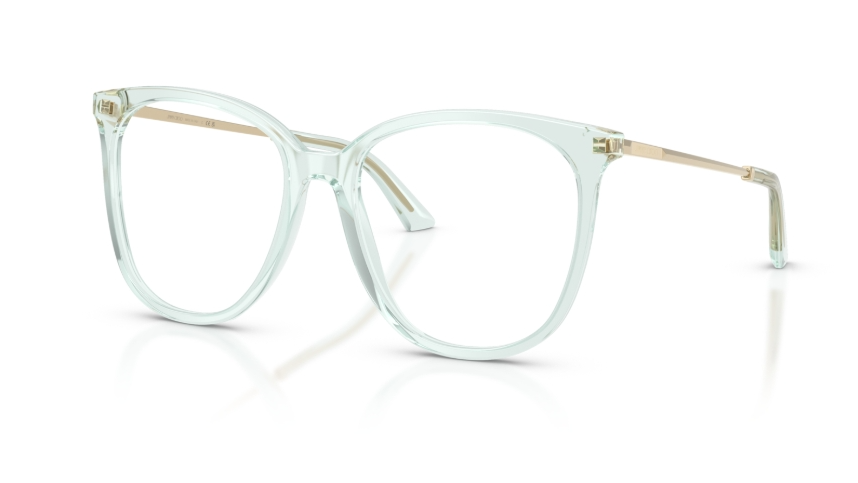 Rame de ochelari Jimmy Choo JC3060 5108