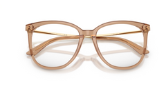Rame de ochelari Jimmy Choo JC3060 5076
