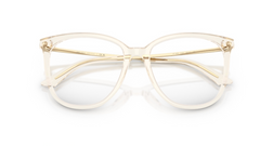 Rame de ochelari Jimmy Choo JC3060 5107