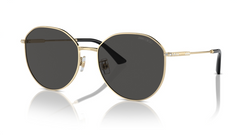 Ochelari de soare Jimmy Choo JC4007BD 300687