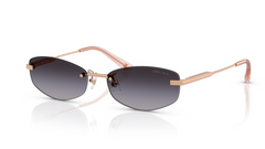 Ochelari de soare Jimmy Choo JC4013D 30088G